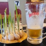 灰皿ニンニク、芽吹きました