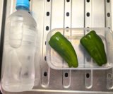 500mlのペットボトルを小さく見せる艶肉ピーマン